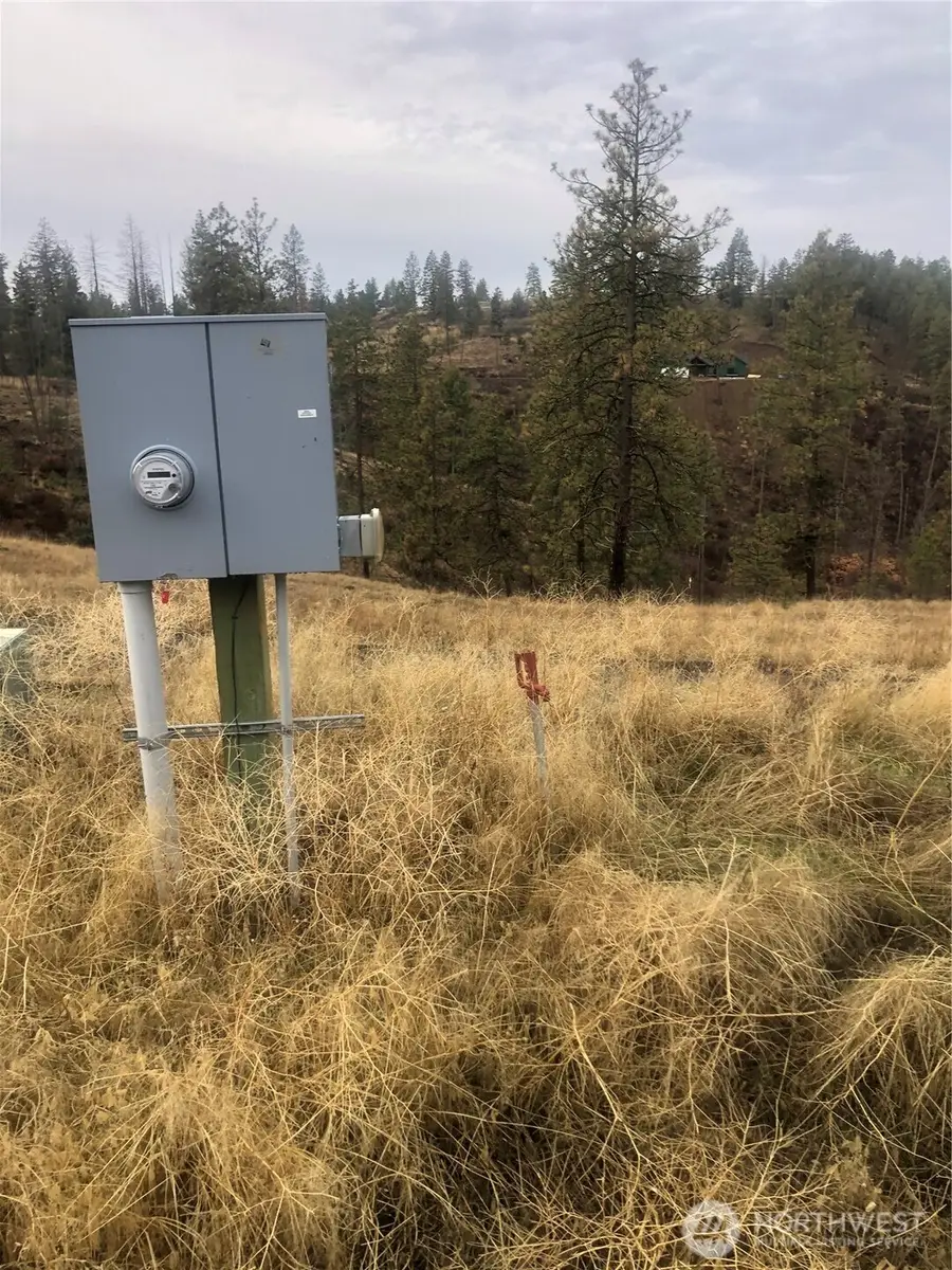 30991 Pine Hen Lane E, Davenport, WA 99122 - #2