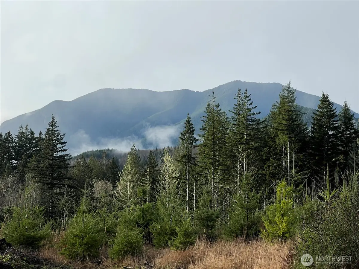 3 Snow Creek Road, Quilcene, WA 98376 - Image #1