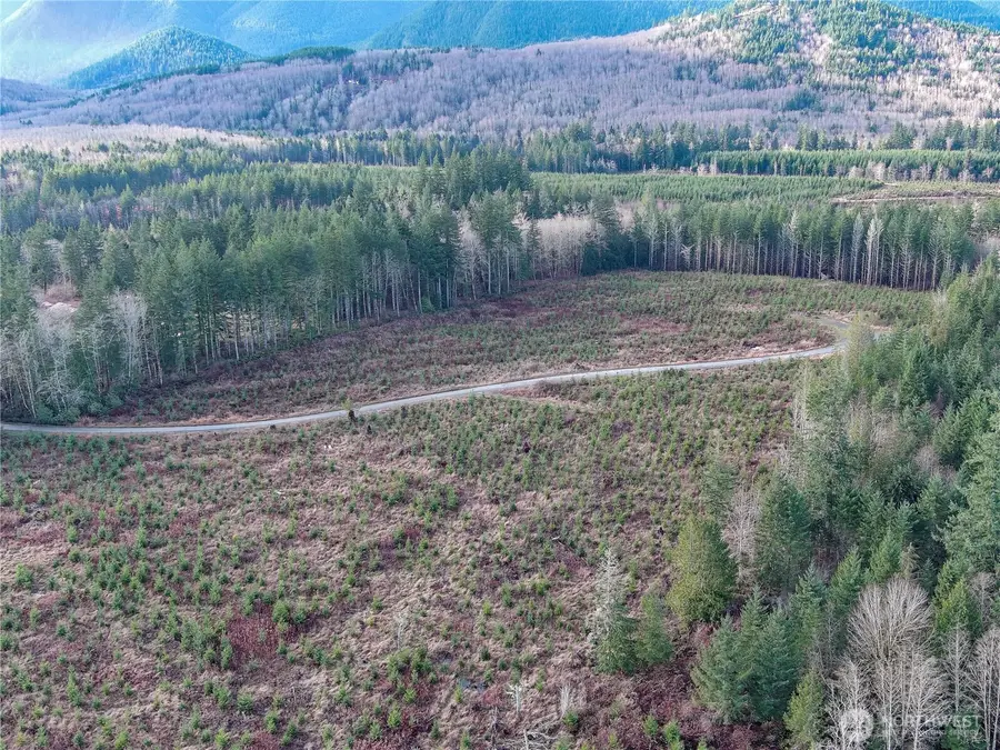 3 Snow Creek Road, Quilcene, WA 98376 - Image #3