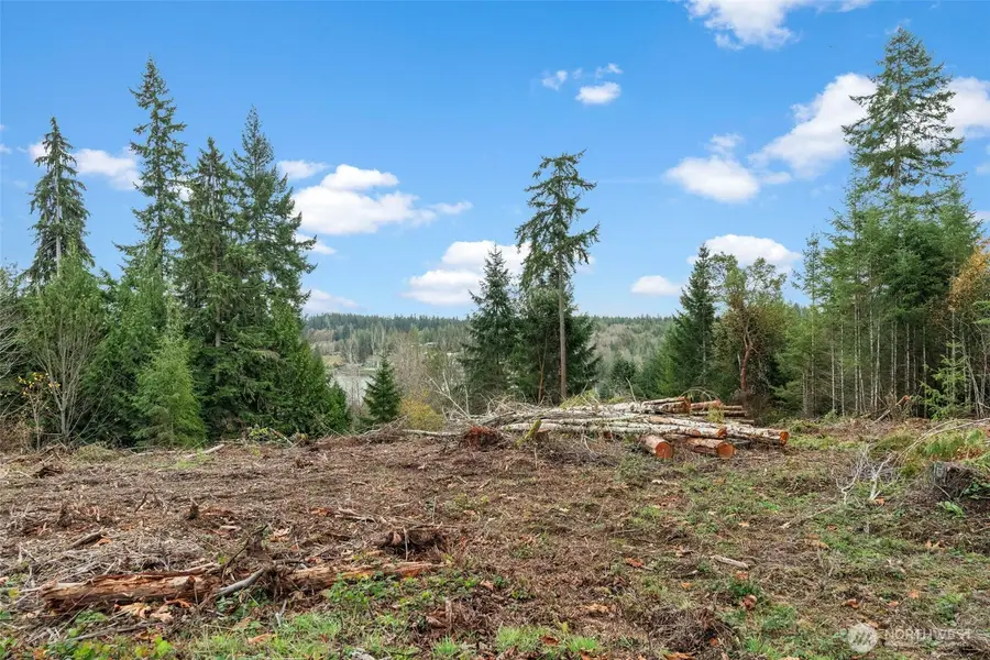 0 E Crestview Drive, Shelton, WA 98584 - Image #2