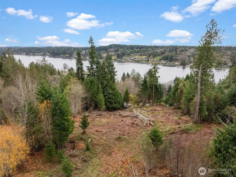 0 E Crestview Drive, Shelton, WA 98584 - Image #3