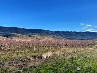 851 S Van Well Ave., East Wenatchee, WA 98802 - Image #2