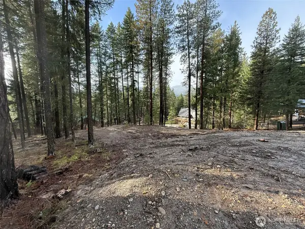 22124 Appaloosa Lane #24, Leavenworth, WA 98826