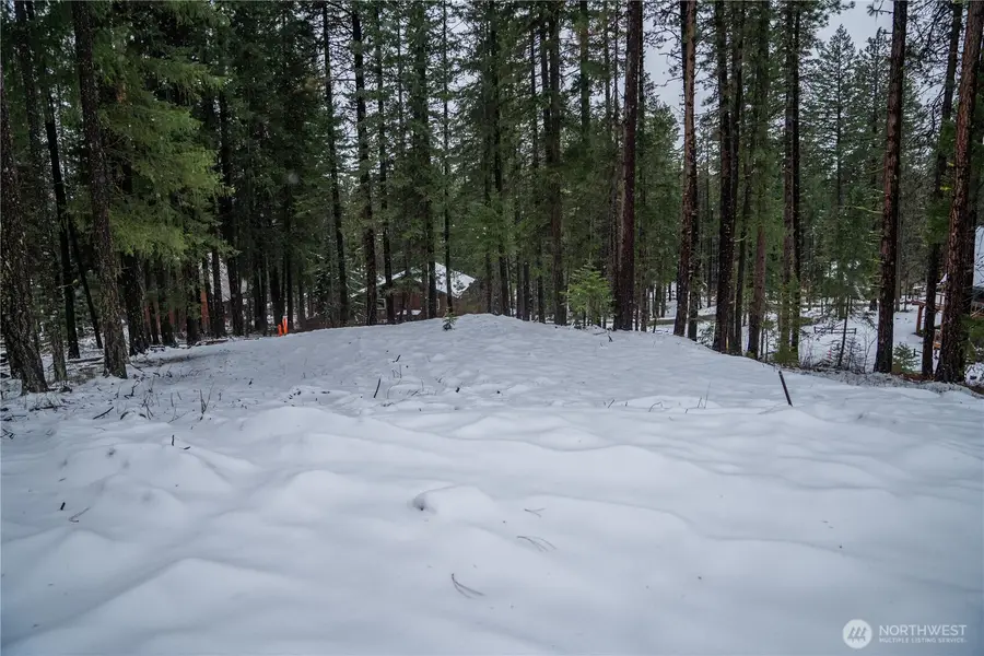 22124 Appaloosa Lane #24, Leavenworth, WA 98826 - Image #3