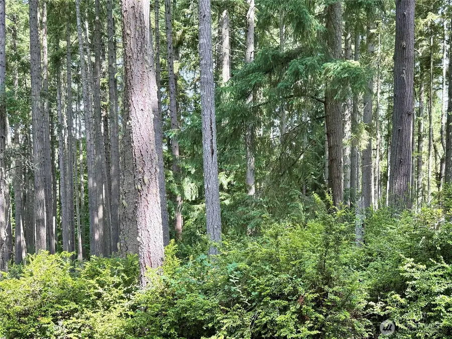 12914 E 101st Street Ct #181, Anderson Island, WA 98303 - #3