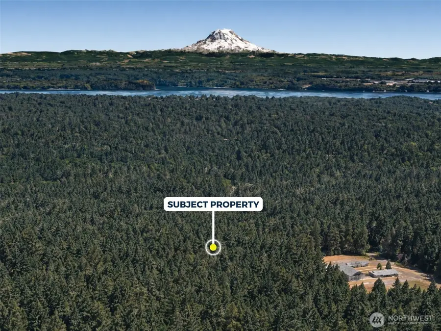 12918 E 101st Street Ct #180, Anderson Island, WA 98303 - #3