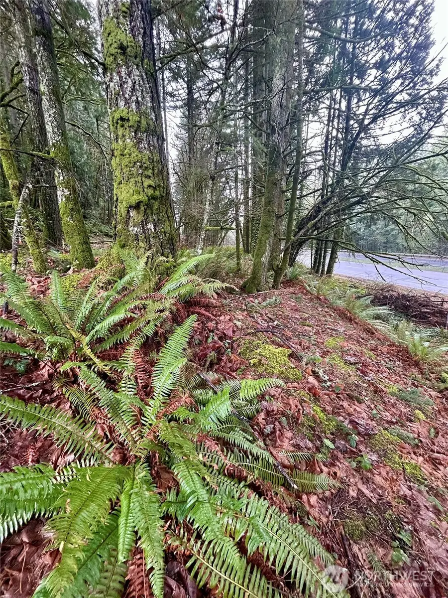 5820 Old Highway 410 Sw, Olympia, WA 98512 - Image #3