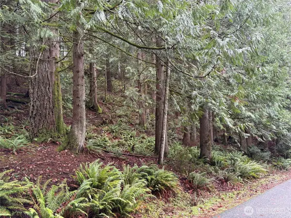 52 High Cliff Lane #46, Bellingham, WA 98229