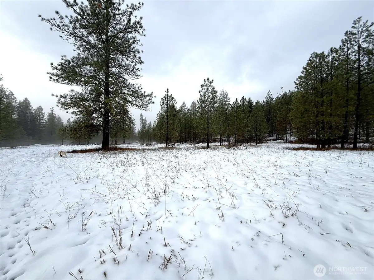 122 Art Creek Road, Malo, WA 99150 - Image #1