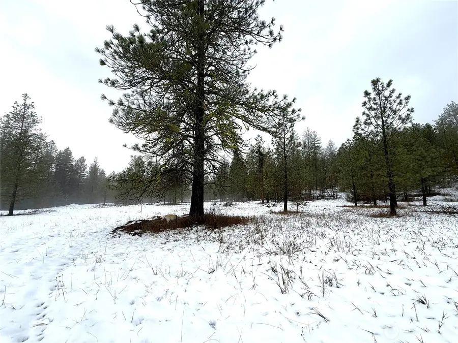 122 Art Creek Road, Malo, WA 99150 - Image #2