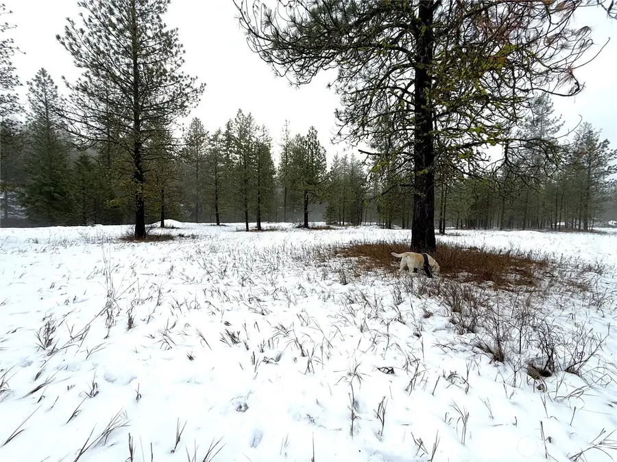 122 Art Creek Road, Malo, WA 99150 - Image #3