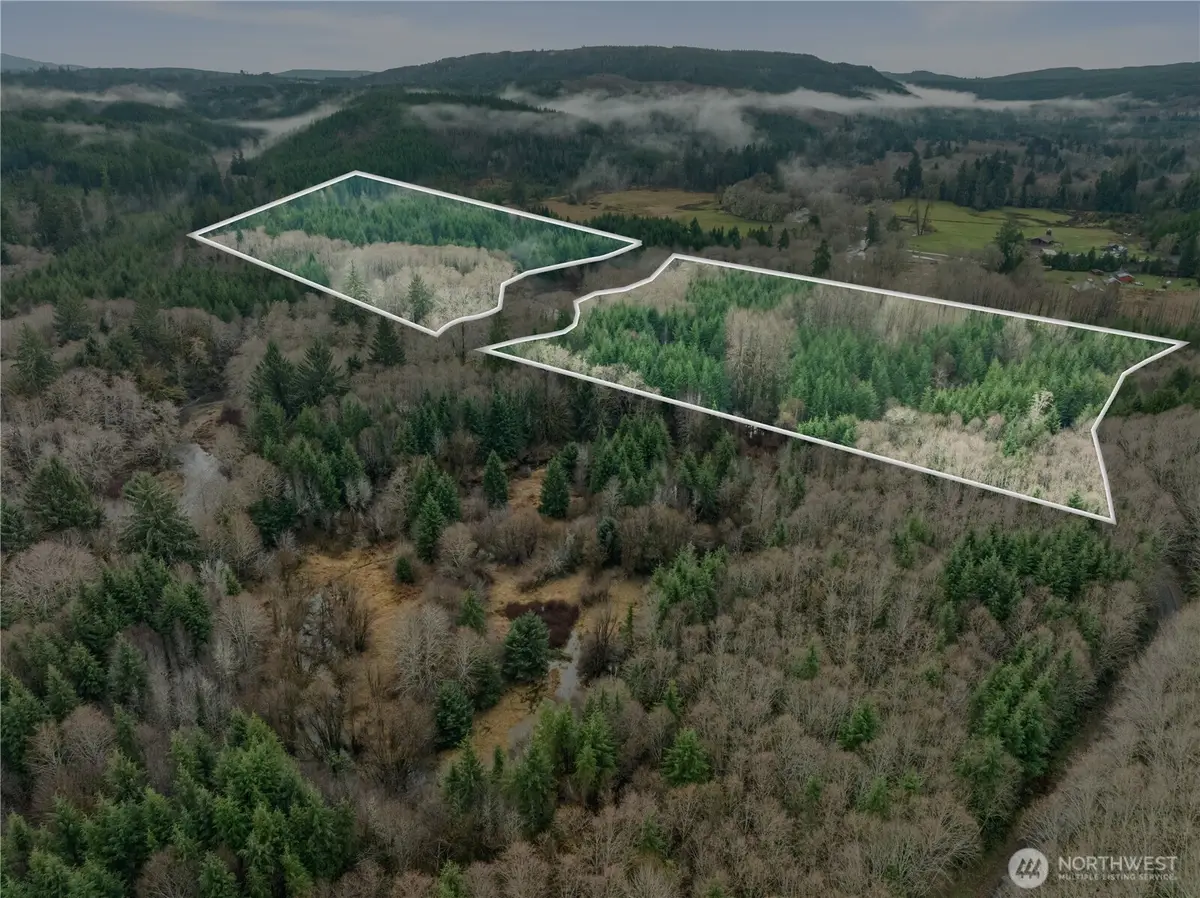 0 Fall River Road, Cosmopolis, WA 98537 - Image #1