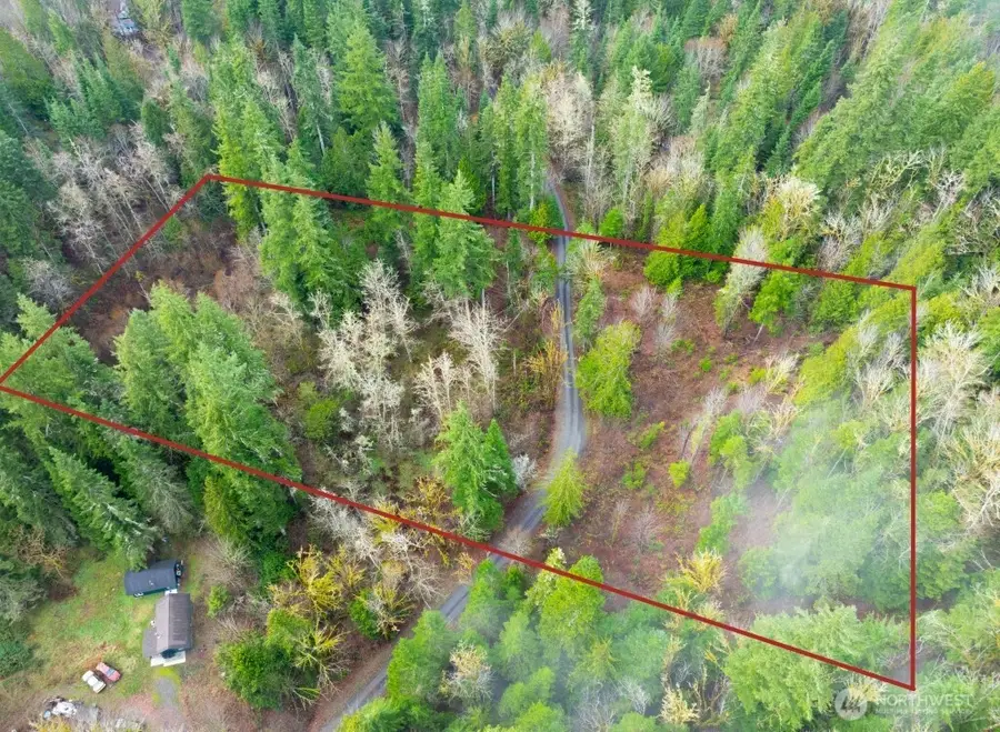 453 Rice Lake Road, Quilcene, WA 98376 - Image #2