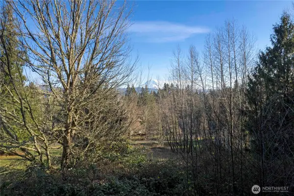 16018 229th Street E, Graham, WA 98338