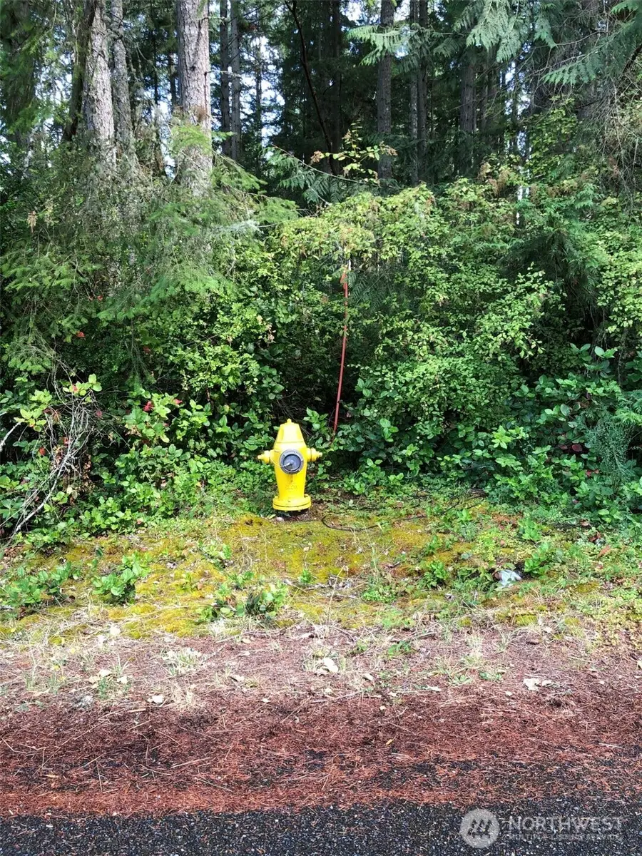 11419 Leschi Circle, Anderson Island, WA 98303 - Image #2