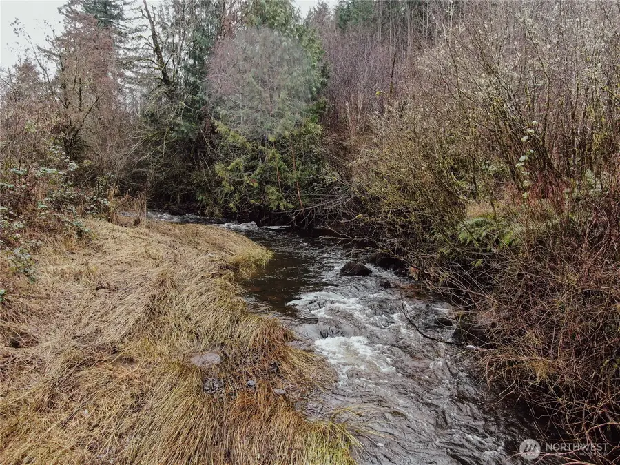 6174 Us Hwy 12, Morton, WA 98356 - #3