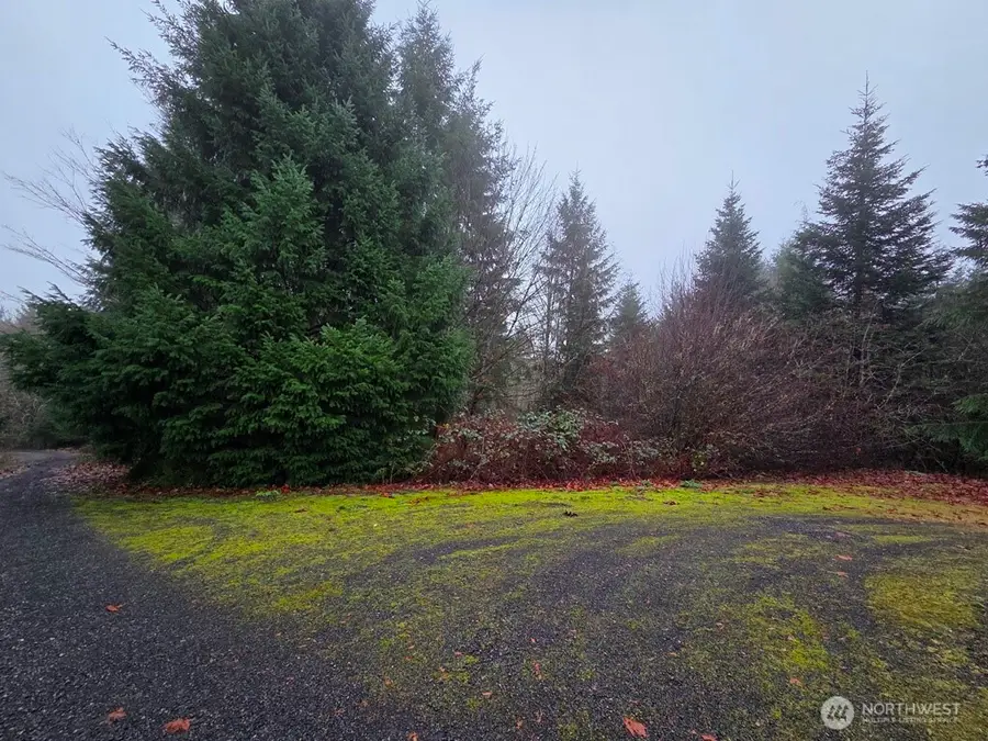 176 White Pine Road, Castle Rock, WA 98611 - #2