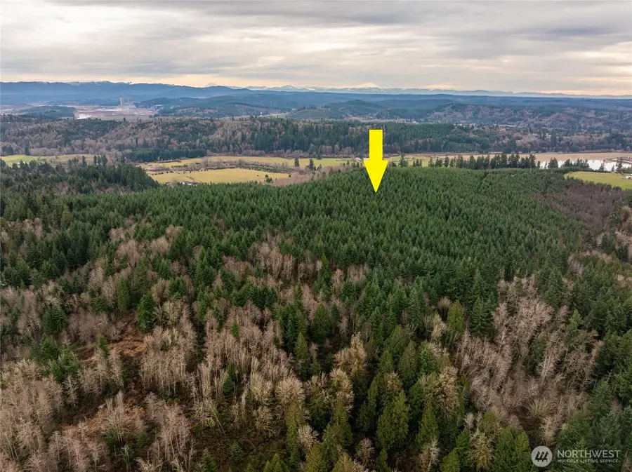 216 Zenkner Valley Road Sw, Centralia, WA 98531 - Image #3