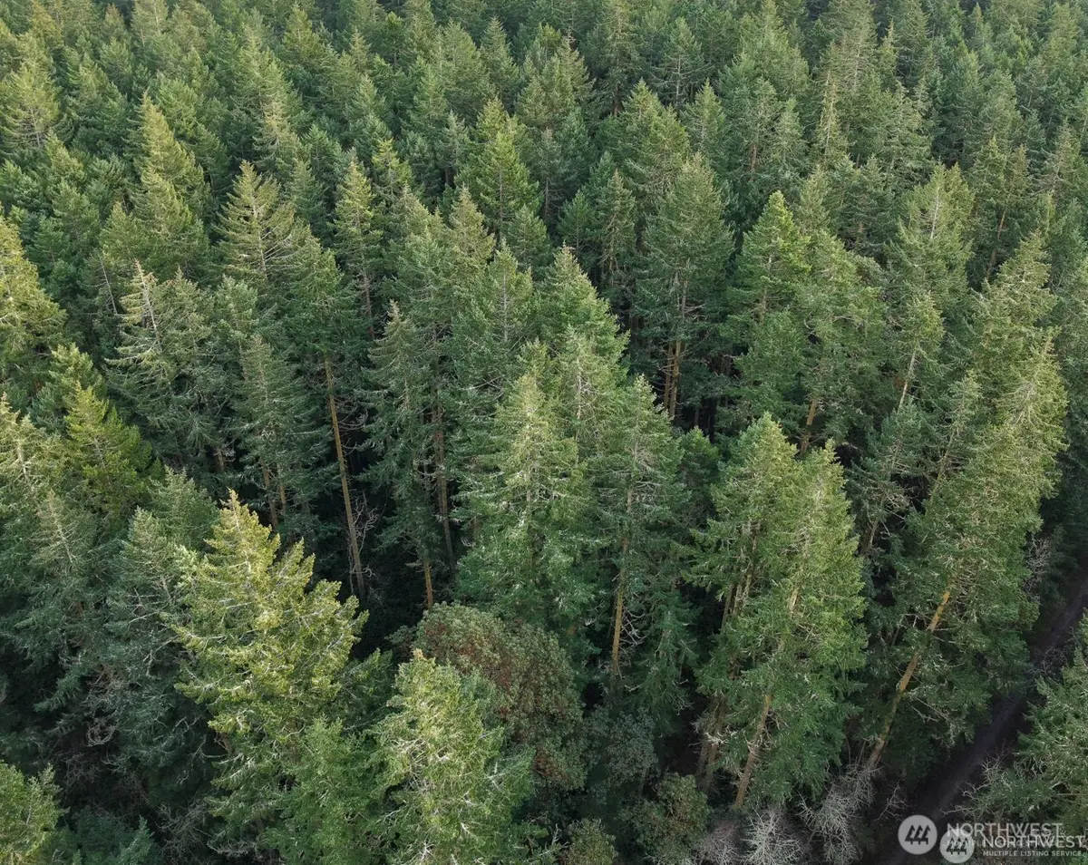 927 Bell Street #3 and 4, Port Townsend, WA 98368 - Image #1