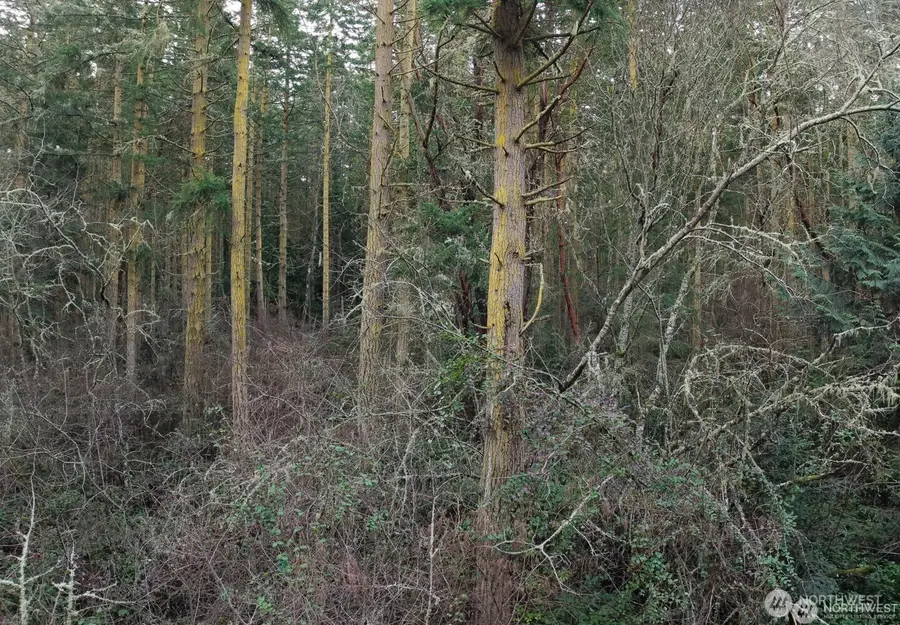 927 Bell Street #3 and 4, Port Townsend, WA 98368 - Image #3