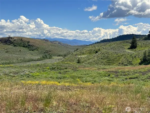 0 Ellemeham Mountain Road, Oroville, WA 98844