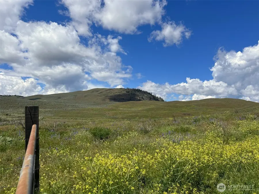 0 Ellemeham Mountain Road, Oroville, WA 98844 - #3