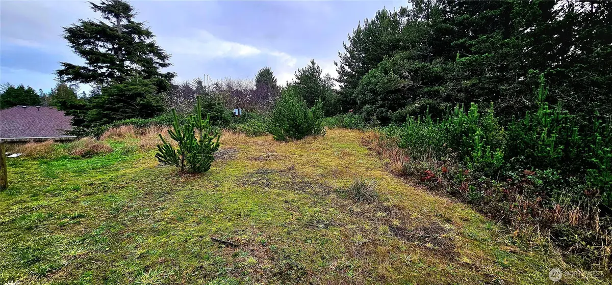 30514 K Place, Ocean Park, WA 98640 - #1