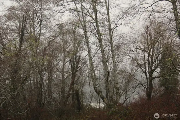 0 Godfrey Street, Raymond, WA 98586