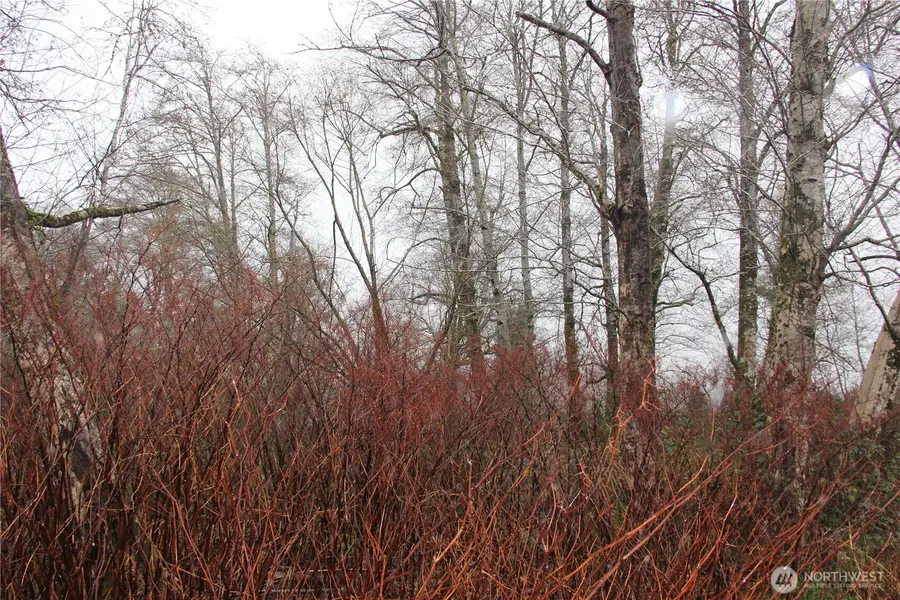 0 Godfrey Street, Raymond, WA 98586 - Image #2