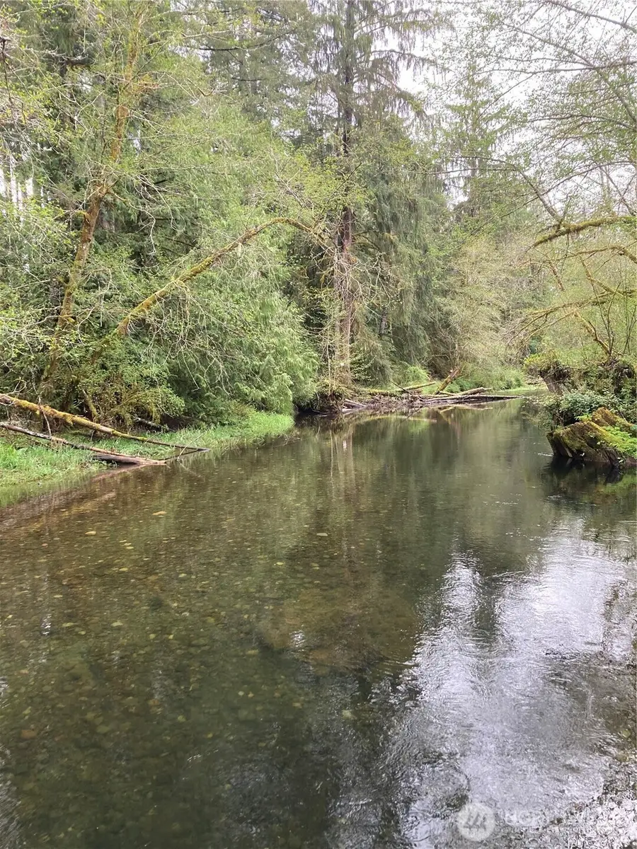 0 East Of Bingham Creek, Elma, WA 98541 - #3