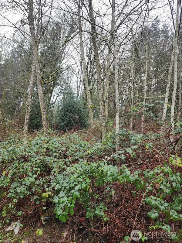 679 17th Avenue Nw #1, Issaquah, WA 98027