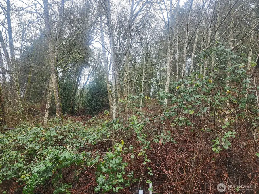 679 17th Avenue Nw #1, Issaquah, WA 98027 - #2