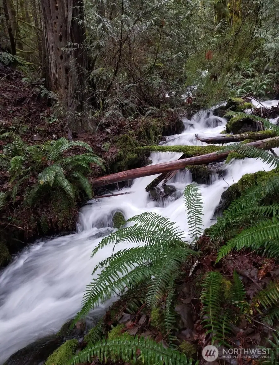 0 Dragonfly Lane, Brinnon, WA 98320 - Image #3