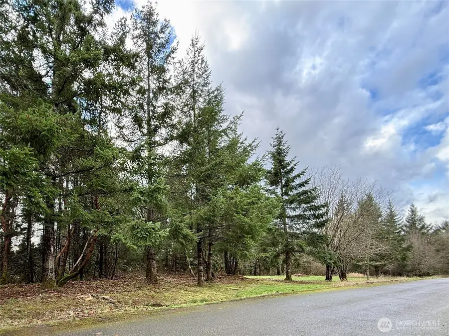 114 Skyview Road, Woodland, WA 98674 - Image #2