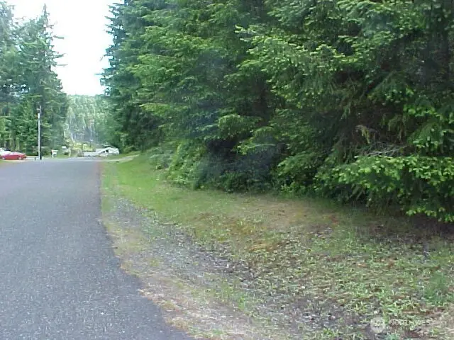 10211 Tahoma Drive, Anderson Island, WA 98303 - Image #2