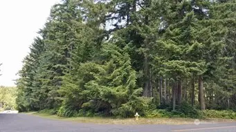 10211 Tahoma Drive, Anderson Island, WA 98303 - Image #3