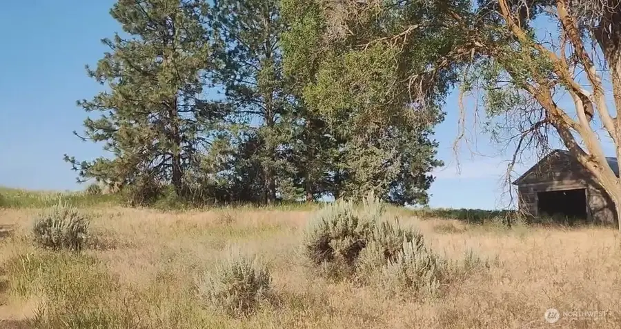 39681 Bluestem Road E, Davenport, WA 99122 - Image #2