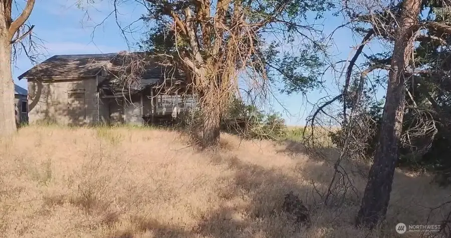 39681 Bluestem Road E, Davenport, WA 99122 - Image #3