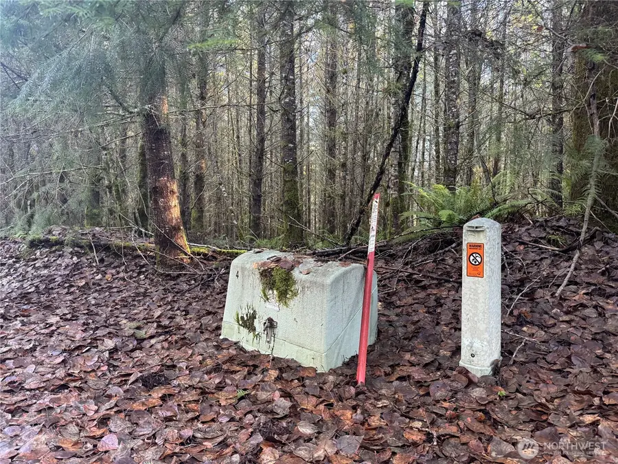 233 Shy Bear Road, Toutle, WA 98649 - #3