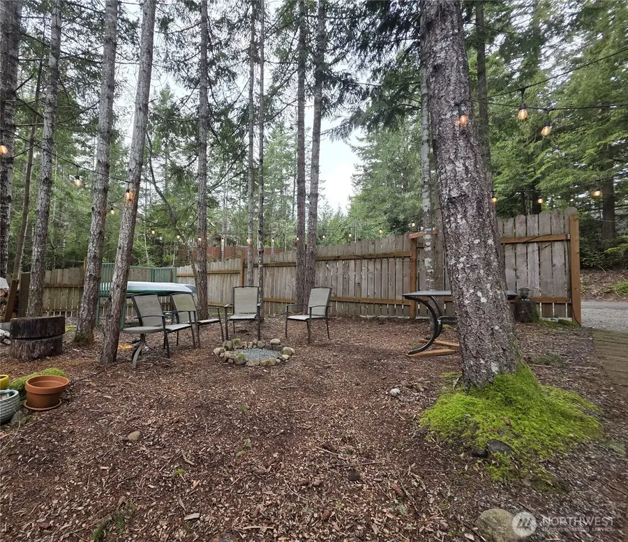 42 W Wildwood Lane, Brinnon, WA 98320 - #3