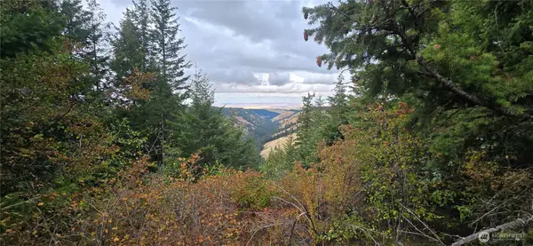 30 Acres Off Biscuit Ridge, Waitsburg, WA 99361