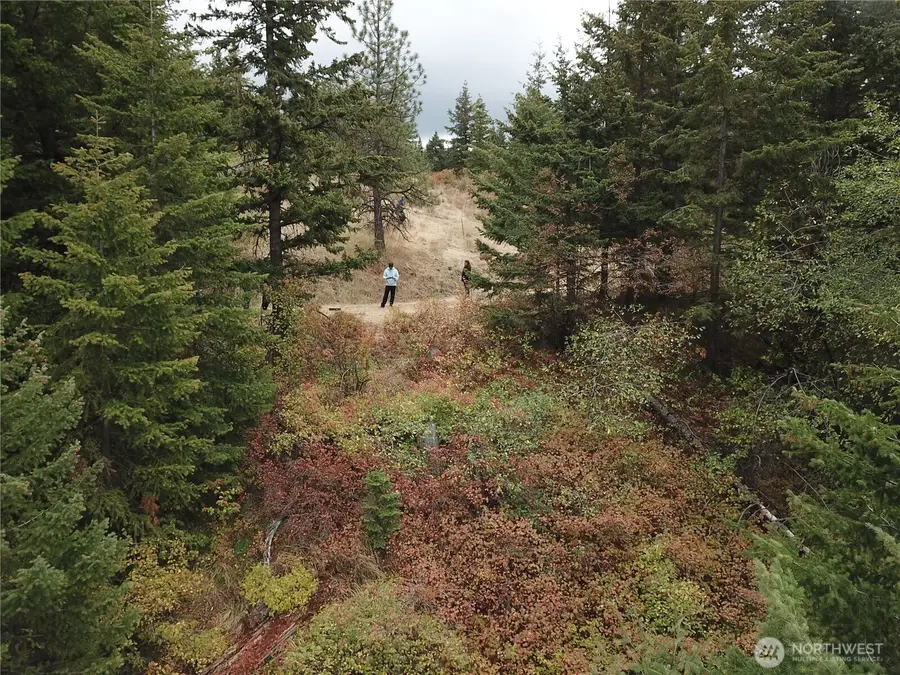 30 Acres Off Biscuit Ridge, Waitsburg, WA 99361 - Image #3