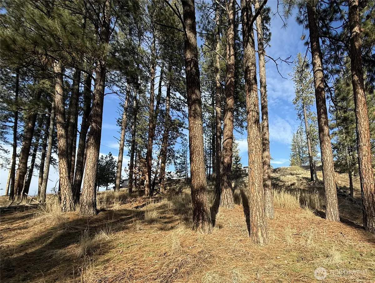 0 Adams Street #See Legal Desc., Republic, WA 99166 - Image #1