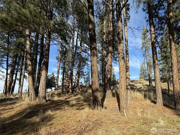 0 Adams Street #See Legal Desc., Republic, WA 99166