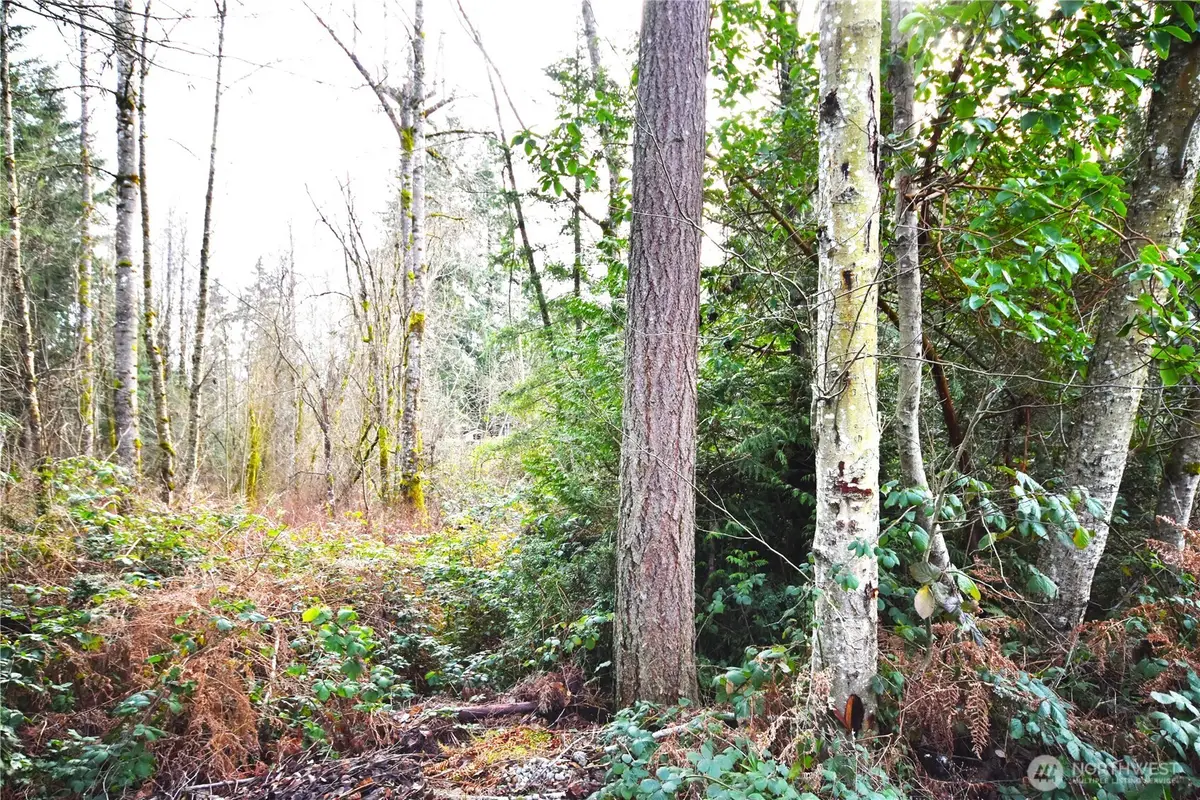 0 SE Cleveland Avenue #5, Port Orchard, WA 98366 - Image #1