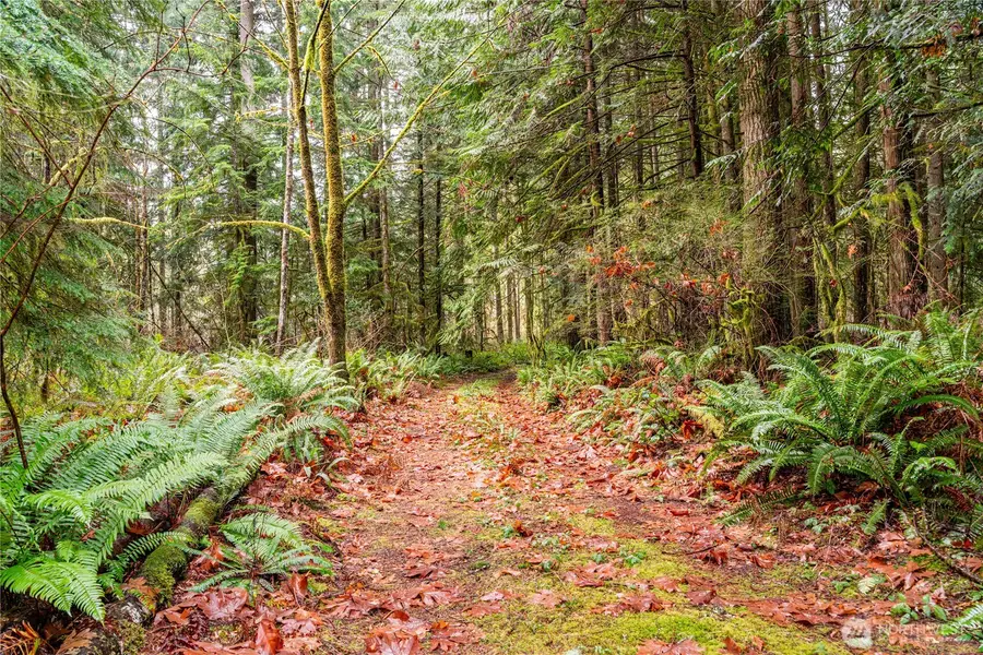 12020 Huckleberry Lane #Lot 10, Arlington, WA 98223 - Image #3