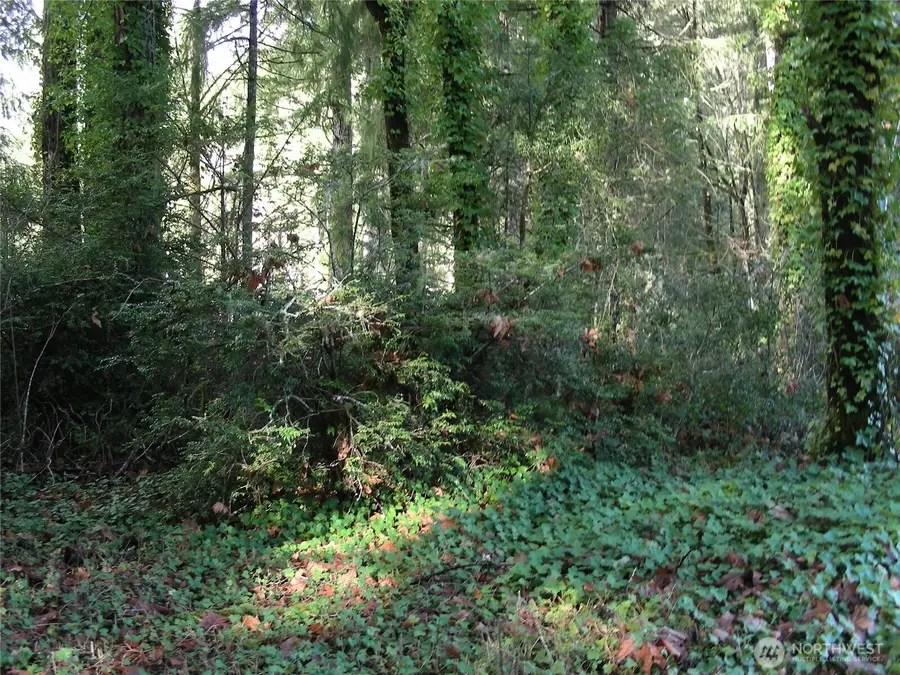 0 E Murray Road S #4, Grapeview, WA 98546 - Image #3