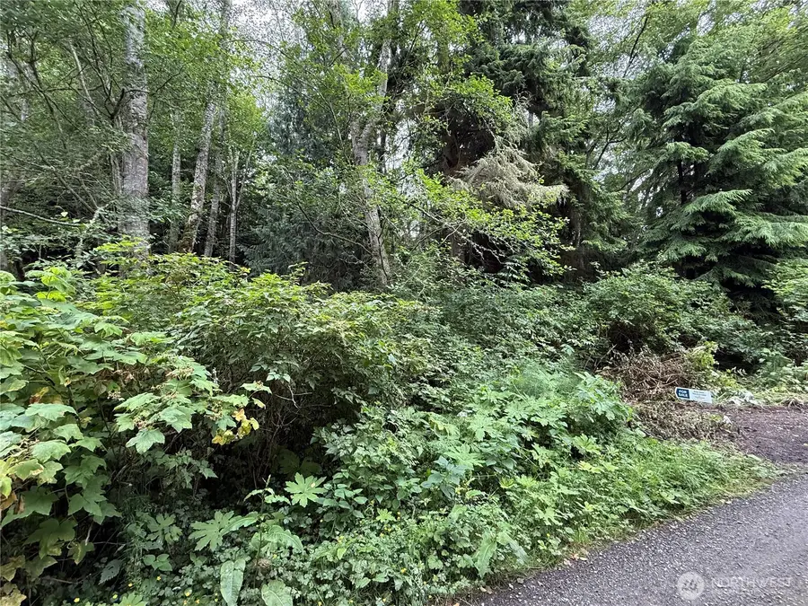 0 Hill Street #2,3,&4, Port Ludlow, WA 98365 - #3