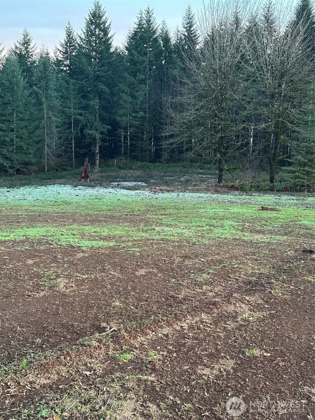 245 Suncrest Drive #4, Castle Rock, WA 98611 - Image #1