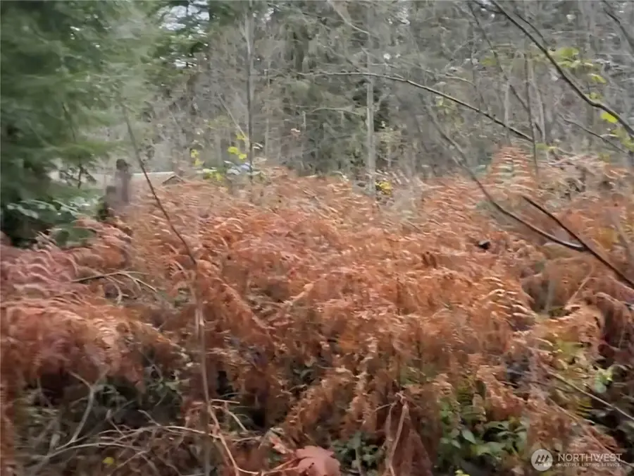 31518 557th Street Ct, Ashford, WA 98304 - #2